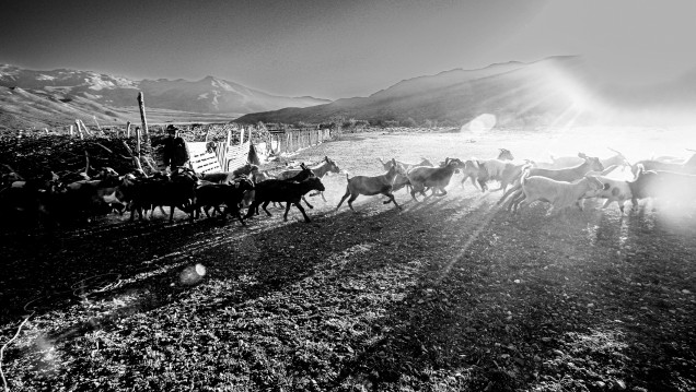 imagen Presentamos «Malargüe: entre veranadas e invernadas»
