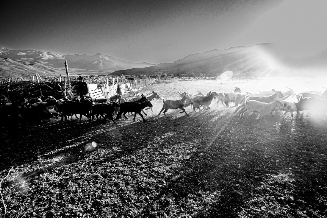 imagen Presentamos «Malargüe: entre veranadas e invernadas»